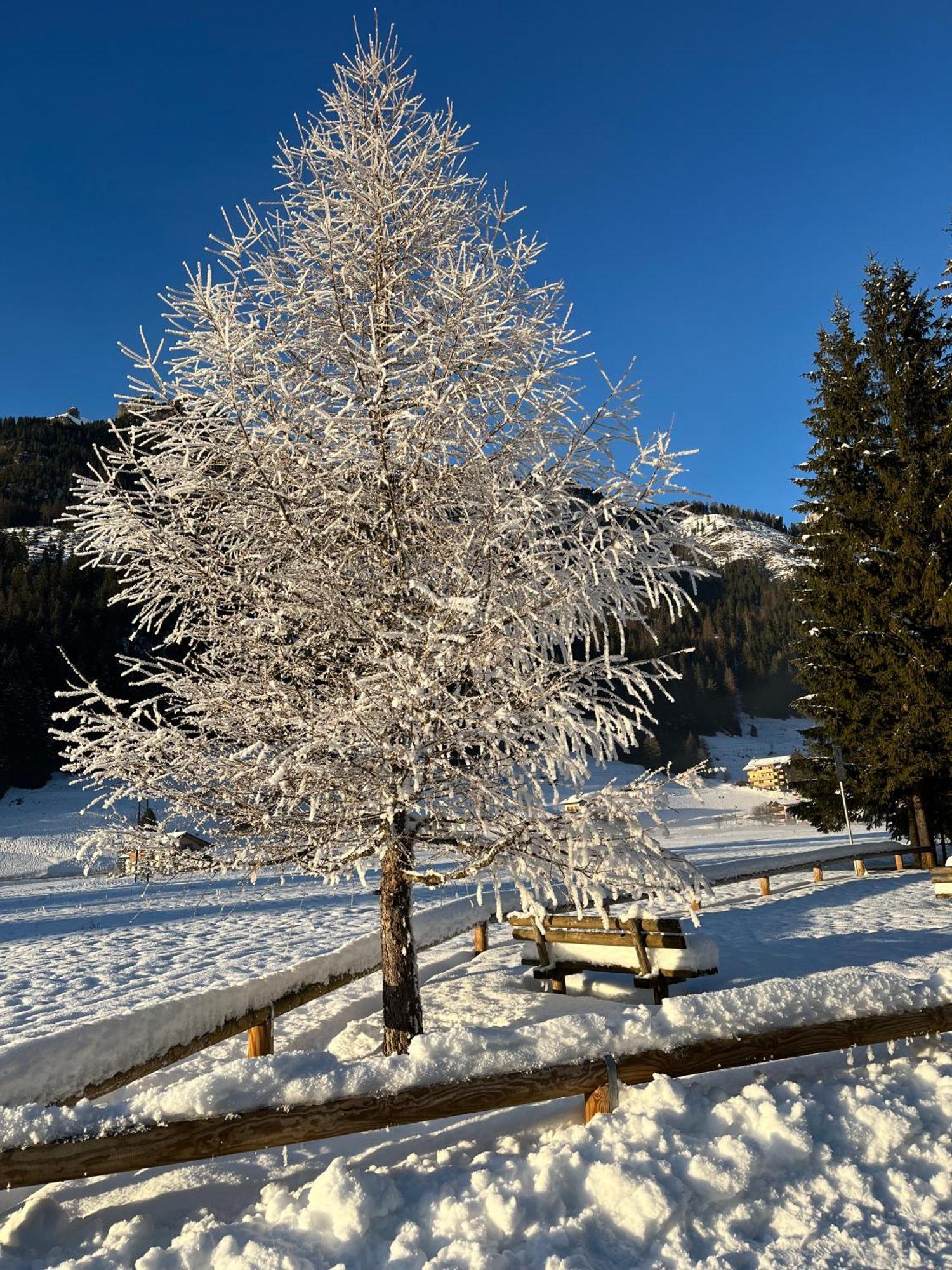 Apartmán Mes Lastei Campitello di Fassa Exteriér fotografie