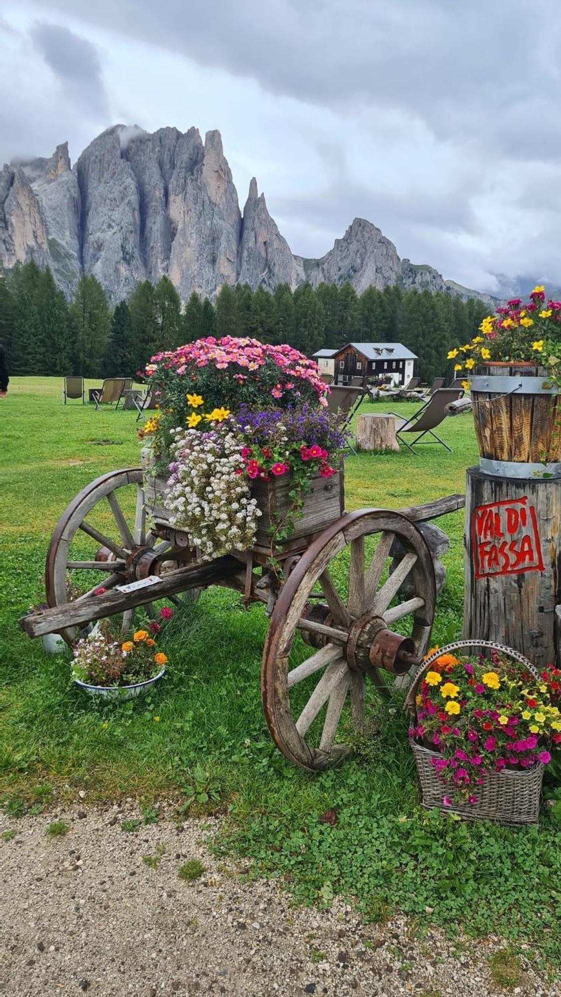 Apartmán Mes Lastei Campitello di Fassa Exteriér fotografie